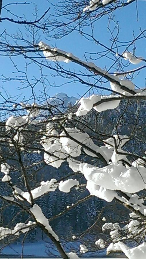 Fw Weissensee 44 Füssen Exteriér fotografie