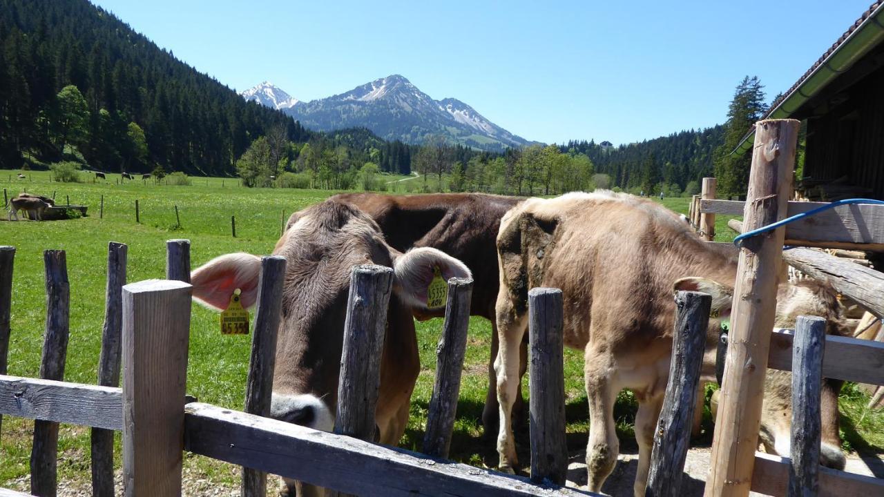 Fw Weissensee 44 Füssen Exteriér fotografie