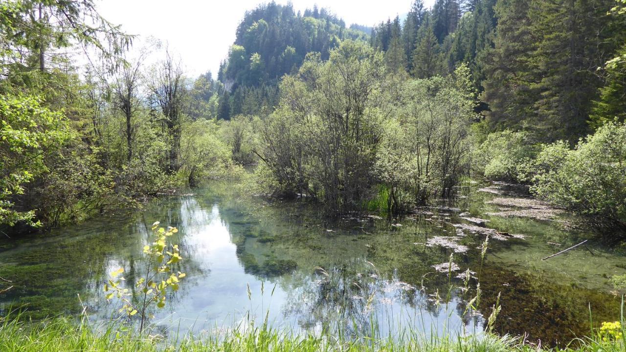 Fw Weissensee 44 Füssen Exteriér fotografie