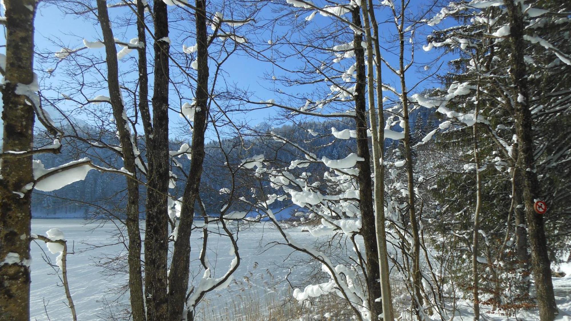 Fw Weissensee 44 Füssen Exteriér fotografie